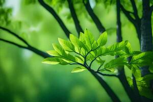 un verde árbol con hojas en el antecedentes. generado por ai foto