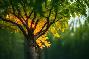 a tree with yellow leaves and green leaves. AI-Generated photo