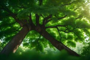 photo wallpaper the sky, trees, sunlight, green, the forest, the sun, trees,. AI-Generated