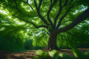 un grande árbol en el medio de un bosque. generado por ai foto