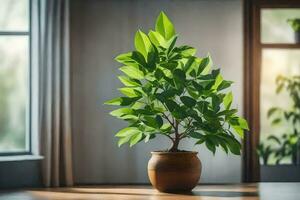 a potted plant sits on a table in front of a window. AI-Generated photo