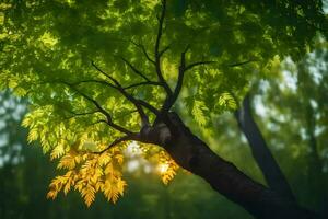 the sun shines through the leaves of a tree. AI-Generated photo