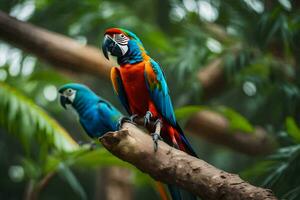 two colorful parrots sitting on a branch. AI-Generated photo