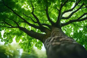 a tree with green leaves in the sunlight. AI-Generated photo