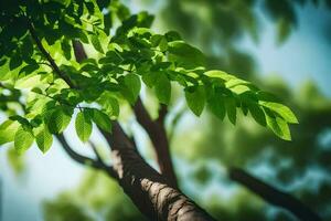 a tree with green leaves and sunlight. AI-Generated photo