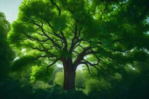 un grande árbol en el medio de un bosque. generado por ai foto