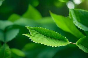 a close up of green leaves on a tree. AI-Generated photo