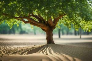 a tree in the desert with sand dunes in the background. AI-Generated photo