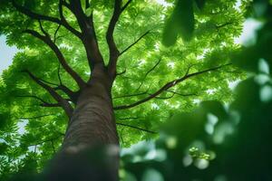 a tree is seen from below with green leaves. AI-Generated photo