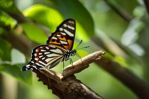 a butterfly is sitting on a branch in the forest. AI-Generated photo