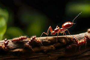 photo wallpaper the ants, wood, the forest, the ants, the forest, the ants,. AI-Generated