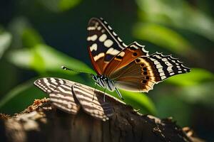 a butterfly is sitting on a log in the sun. AI-Generated photo