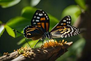 a butterfly is sitting on a branch with flowers. AI-Generated photo