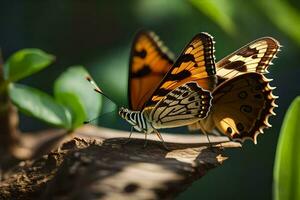 two butterflies are sitting on top of a tree. AI-Generated photo