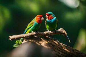 dos vistoso aves sentado en un rama. generado por ai foto