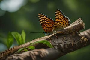 a butterfly is sitting on a branch. AI-Generated photo