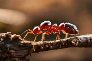 un rojo hormiga en un rama. generado por ai foto