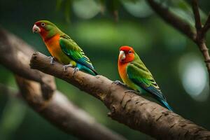 two colorful birds sitting on a branch. AI-Generated photo