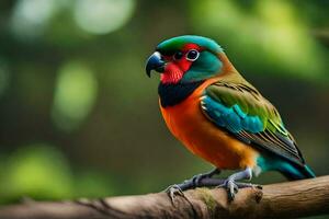 a colorful bird sits on a branch. AI-Generated photo