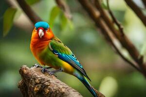 un vistoso pájaro es sentado en un rama. generado por ai foto