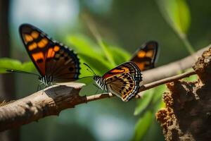 two butterflies are sitting on a branch. AI-Generated photo