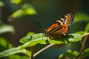 a butterfly is sitting on a leaf. AI-Generated photo