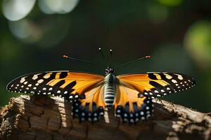 un mariposa es sentado en un árbol rama. generado por ai foto