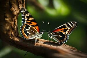 dos mariposas son sentado en un rama. generado por ai foto