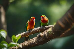 dos vistoso aves sentado en un rama. generado por ai foto