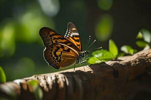 a butterfly is sitting on a branch in the sun. AI-Generated photo