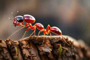 photo wallpaper the ant, bug, wood, red, ant, ant, ant, ant,. AI-Generated