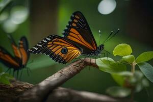 dos naranja mariposas son sentado en un rama. generado por ai foto