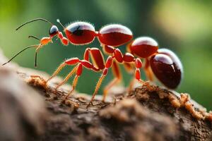 un rojo hormiga es caminando en un árbol trompa. generado por ai foto