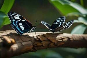 dos mariposas son sentado en un rama. generado por ai foto