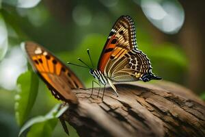 two butterflies are sitting on a tree branch. AI-Generated photo
