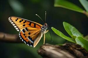 a butterfly is sitting on a branch. AI-Generated photo