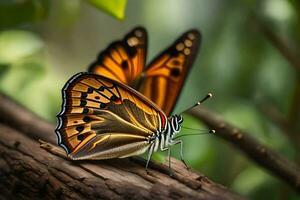 butterfly, nature, the forest, the green, the green forest, the green,. AI-Generated photo