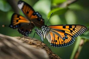 dos mariposas son sentado en parte superior de un árbol. generado por ai foto