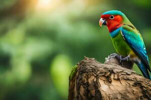 colorful parrot sitting on a tree stump in the sun. AI-Generated photo