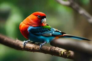 a colorful bird sits on a branch. AI-Generated photo