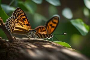 dos mariposas son sentado en un rama. generado por ai foto