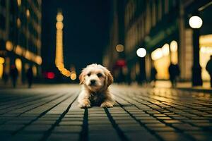 a dog sitting on the ground in a city at night. AI-Generated photo