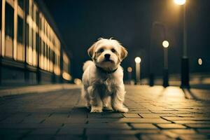 un pequeño blanco perro en pie en un ladrillo la carretera a noche. generado por ai foto
