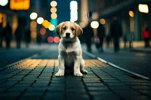 a puppy sitting on the street at night. AI-Generated photo