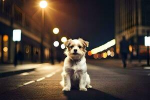 a small dog sitting on the street at night. AI-Generated photo