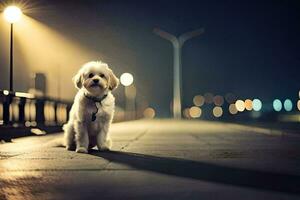 a small white dog is sitting on the sidewalk at night. AI-Generated photo