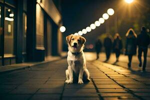 a dog sitting on the sidewalk at night. AI-Generated photo