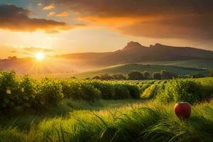 the sun rises over a vineyard field with a red apple. AI-Generated photo