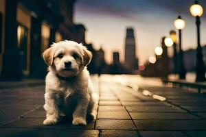 un perrito sentado en el calle a oscuridad. generado por ai foto