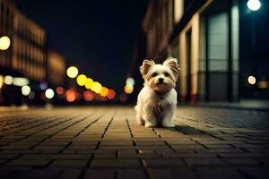 a small white dog is standing on a brick road at night. AI-Generated photo
